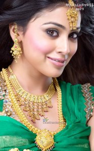 Lovely Shreya Saran
